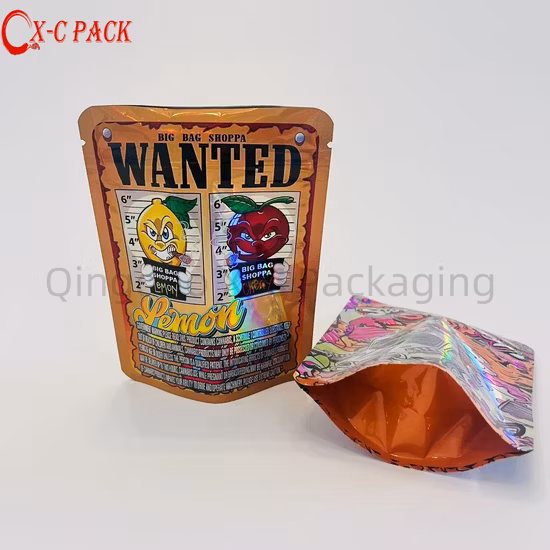 Petit sac à fermeture éclair Mylar en feuille d'hologramme debout